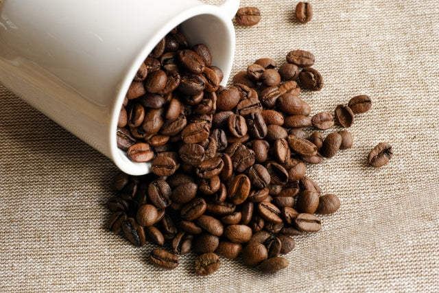 コーヒーの特徴と相性の良い風味